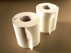 800px-Toilet_paper_2010111